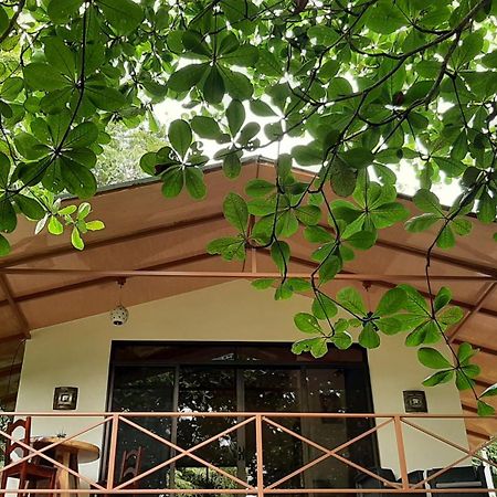 Casa Martina Apartment Cahuita Bagian luar foto